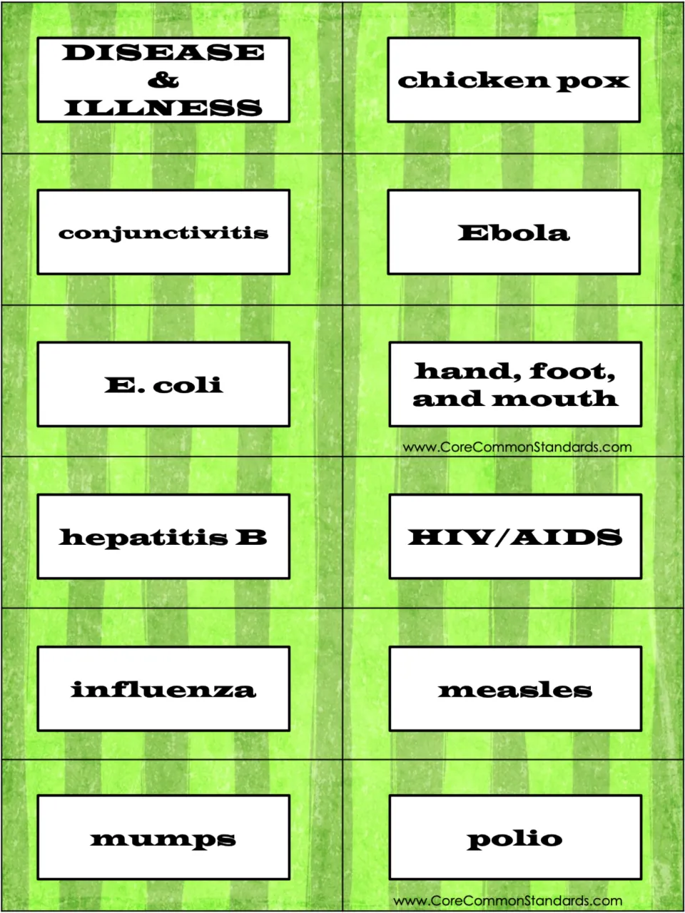 Disease research cards: DISEASE & ILLNESS label, chicken pox, conjunctivitis, Ebola, and eight more topics