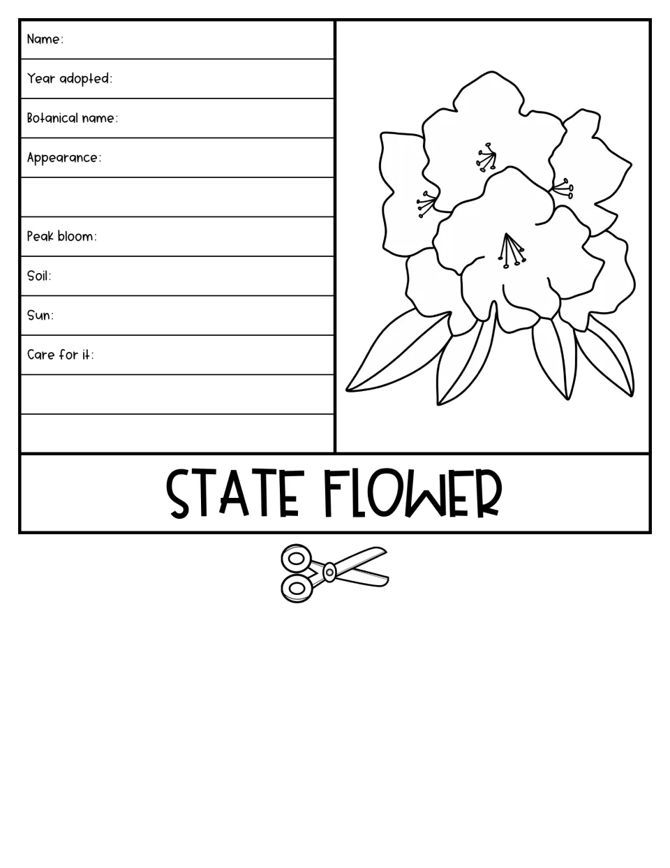 State flower flap with a blossom drawing; students note name, botanical name, appearance, peak bloom, soil, sun and care