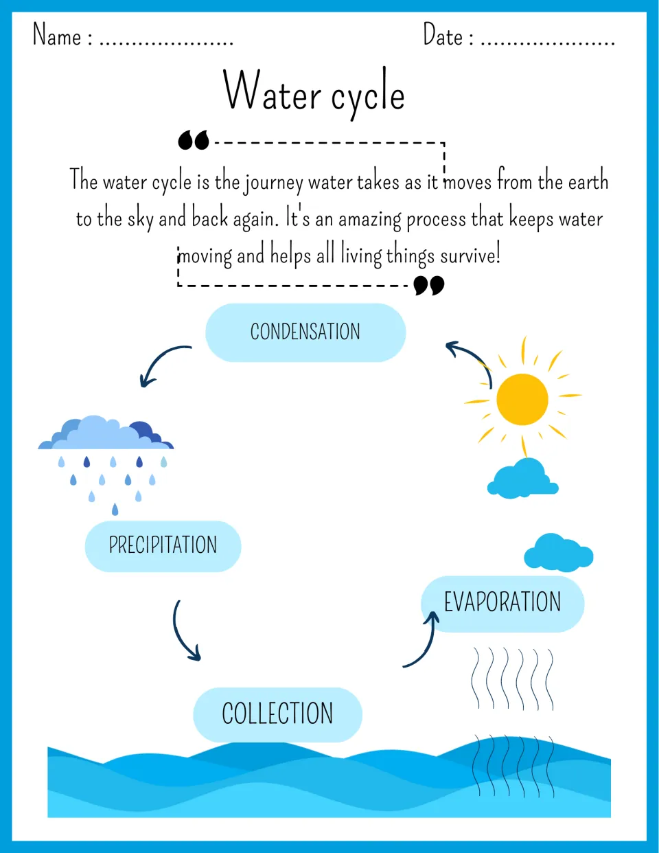 Water cycle diagram with a short definition, labeling condensation, precipitation, collection and evaporation with arrows