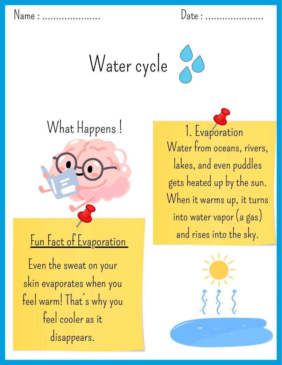 Evaporation reading: sun heats oceans, lakes and puddles so water turns to vapor and rises, plus a fun fact about sweat