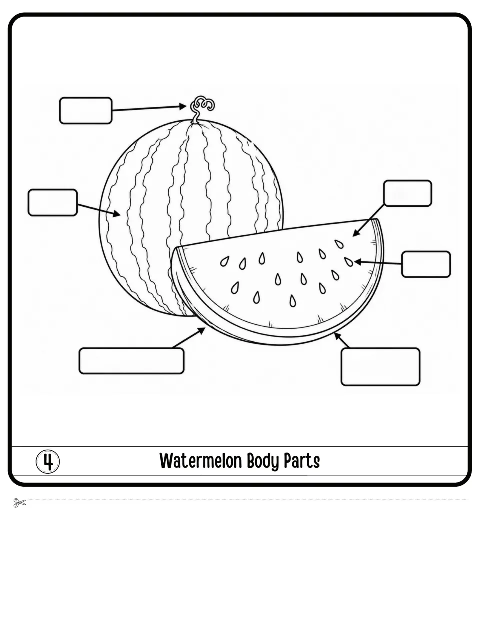 Watermelon Body Parts diagram labeling: students name 6 parts of a whole watermelon and a seeded slice