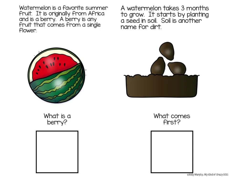 Color book pages introduce watermelon as a berry and planting seeds, asking what a berry is and what comes first