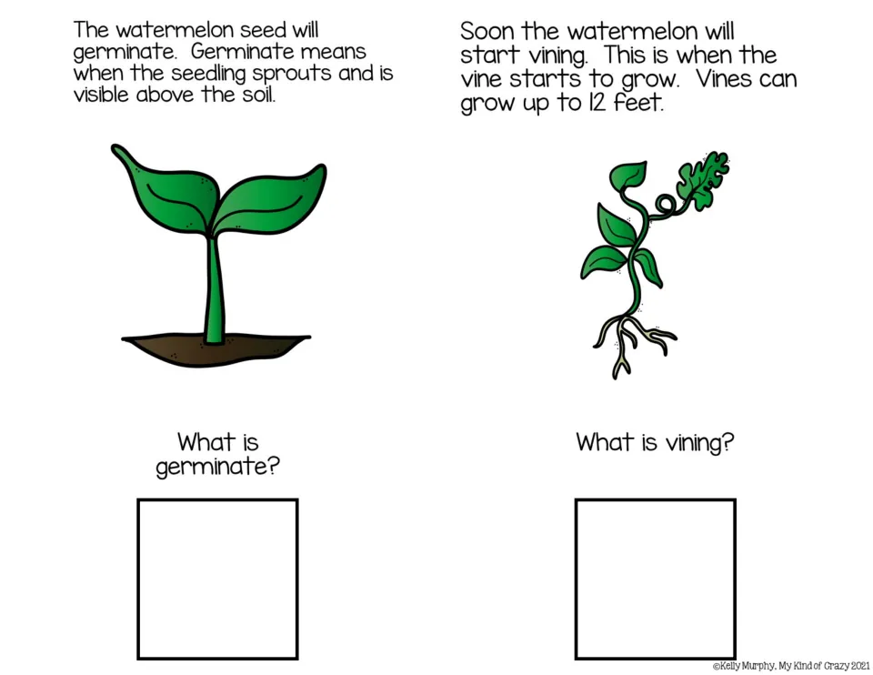 Color book pages explain germination and vining, with seedling and vine pictures and questions about each stage
