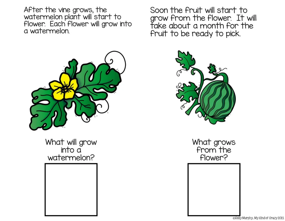 Color book pages describe flowering and fruit growth, asking what grows into a watermelon and from the flower