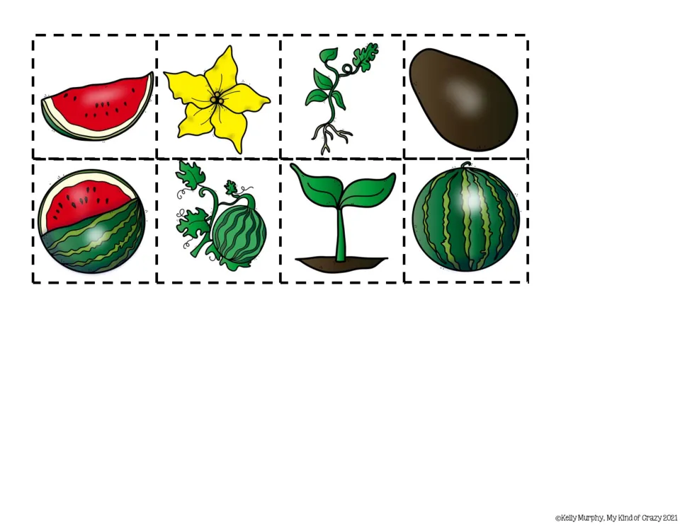 Eight color cut-and-paste picture pieces for the book: seed, seedling, vine, flower, and four watermelon images