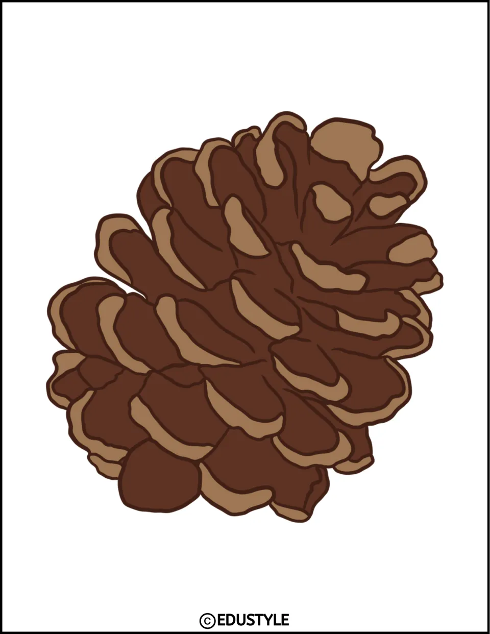 Single large brown pinecone drawing angled to the left, a mirrored version of the earlier pinecone for balanced autumn decor