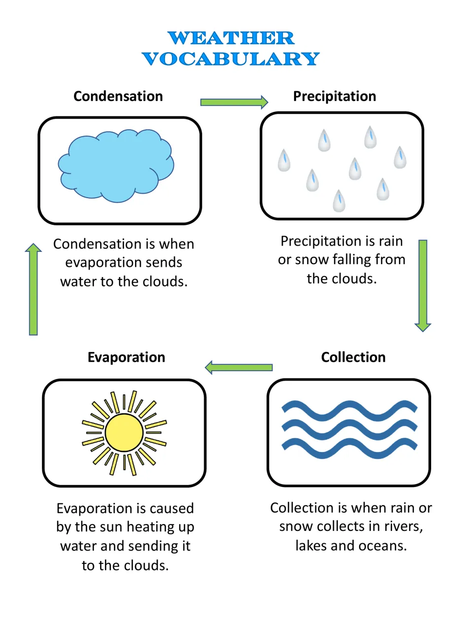 Water cycle anchor chart: condensation, precipitation, collection and evaporation with arrows, icons and definitions