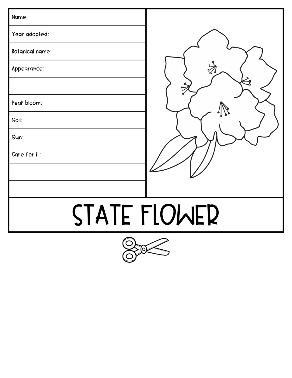 State flower flap: students note name, year adopted, botanical name, appearance, peak bloom, soil, sun and care
