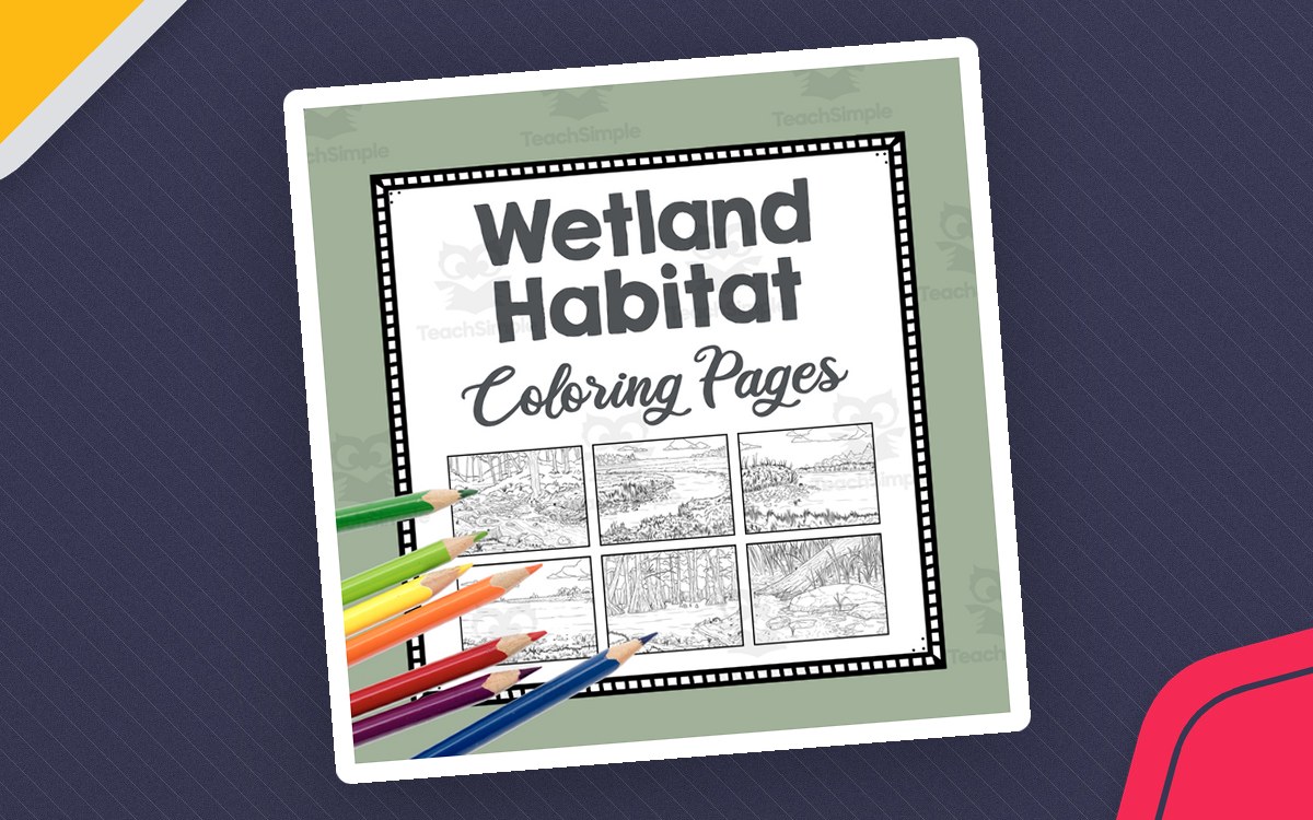Wetland Habitat Coloring Pages | Line Art Templates | Biome Art Project teaching resource preview