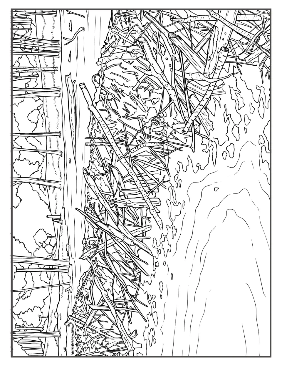 Beaver dam scene: piled sticks holding back a pond with a forest behind, outlined for students to shade in