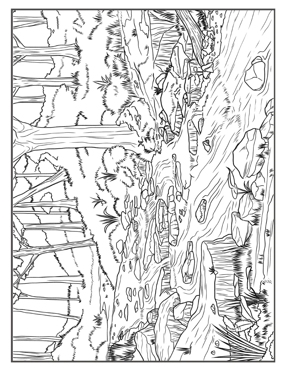 Forest creek winding over rocks and stepping stones beneath tall trees, a detailed outline for coloring practice