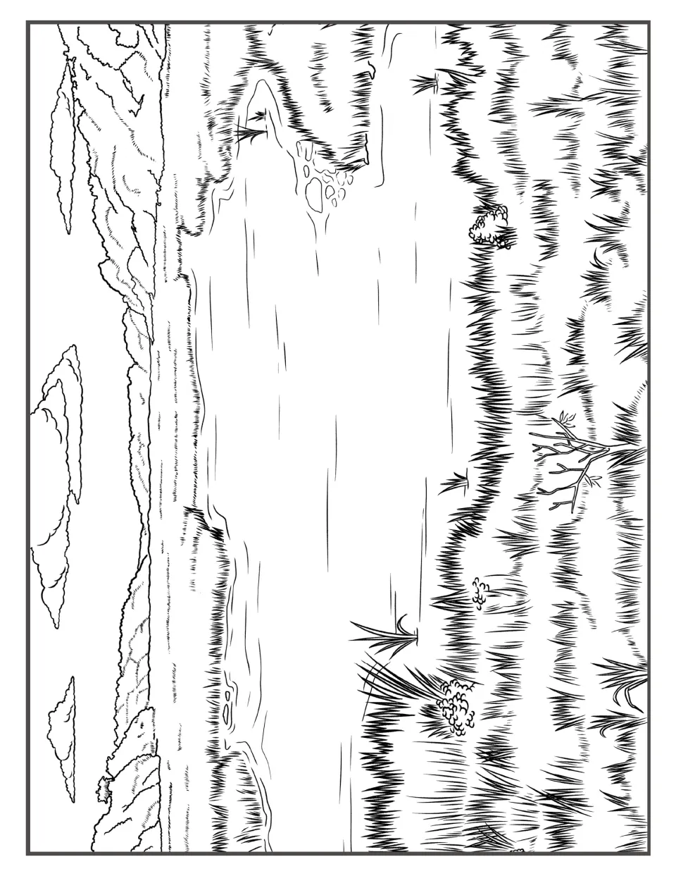 Grassy marsh pond ringed by dense grasses, small shrubs and a bare sapling under clouds, a line drawing to color