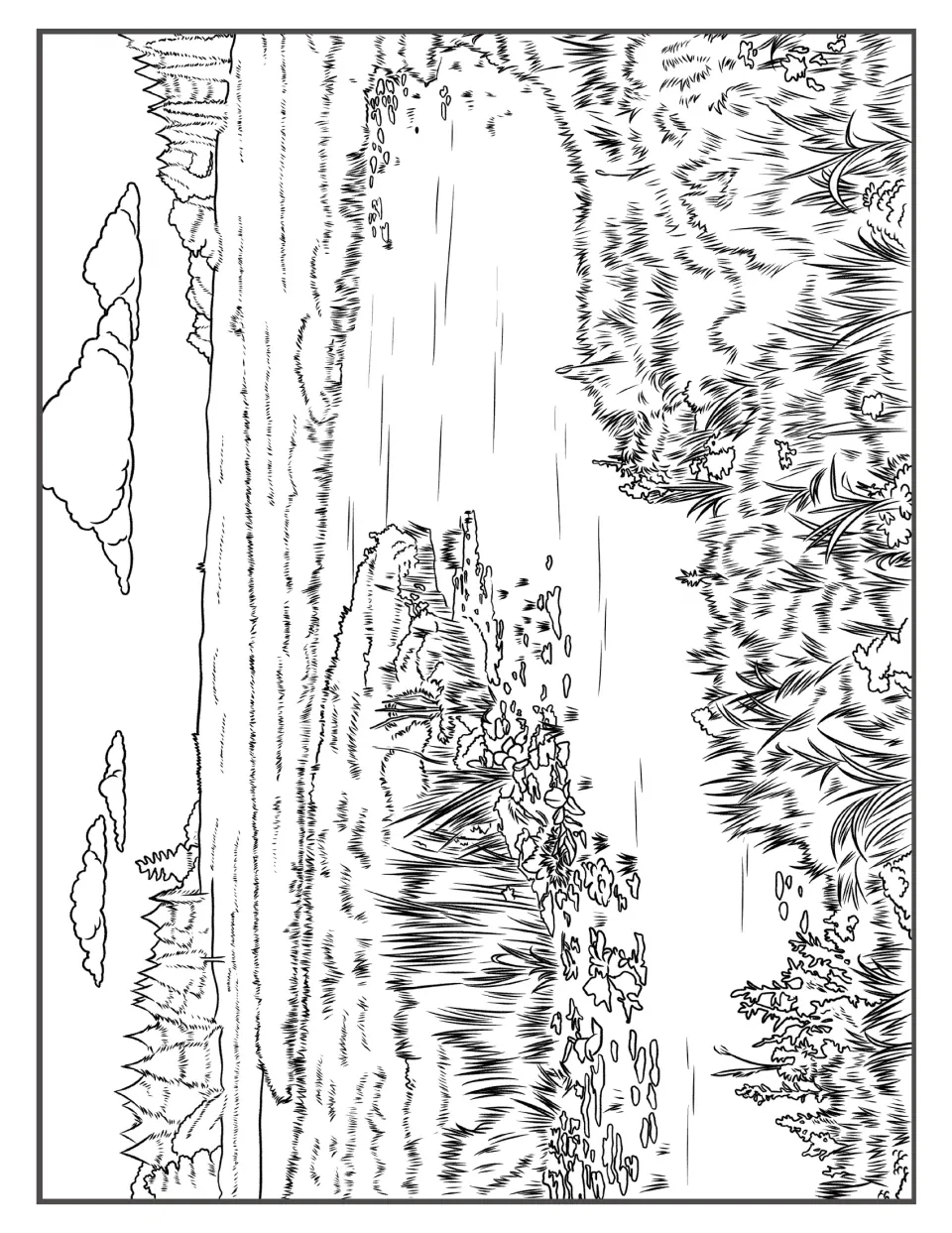 Marsh meadow: reeds and floating plants around a pond with pine trees on the horizon, a scene for students to color