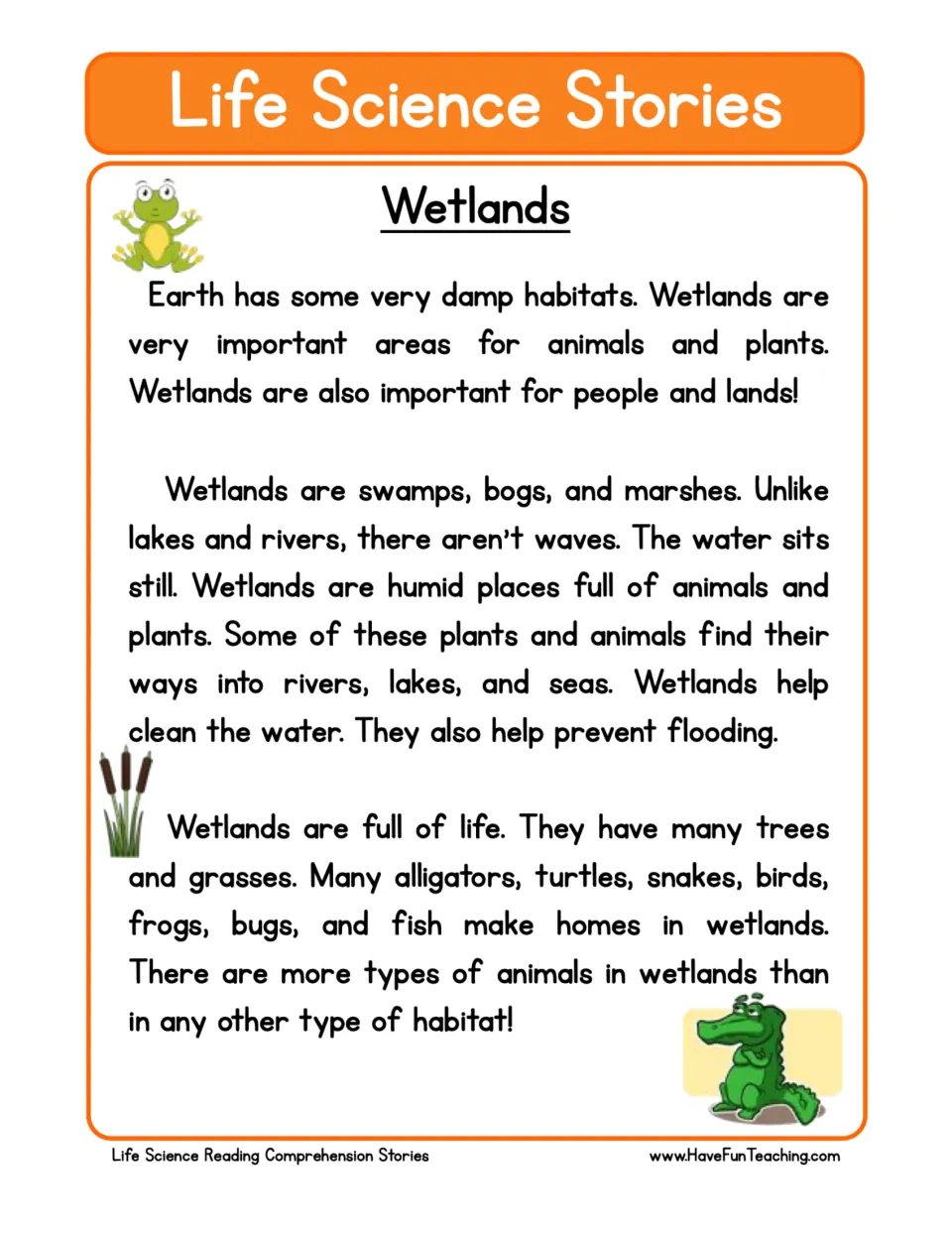 Reading passage about wetlands: swamps, bogs, marshes, animal habitats, clean water, and flood prevention.