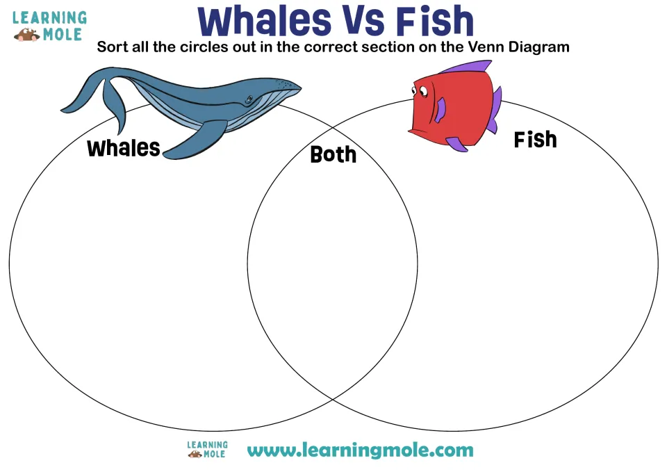 Whales vs fish Venn diagram: students sort trait circles into Whales, Fish or Both to compare the two animal groups
