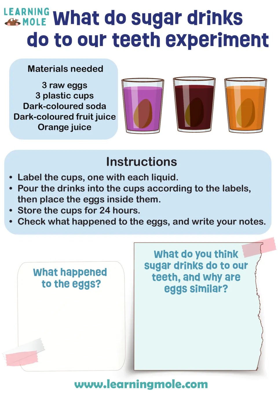 Sugar drinks and teeth: students soak raw eggs in soda, fruit juice and orange juice for 24 hours, then record changes