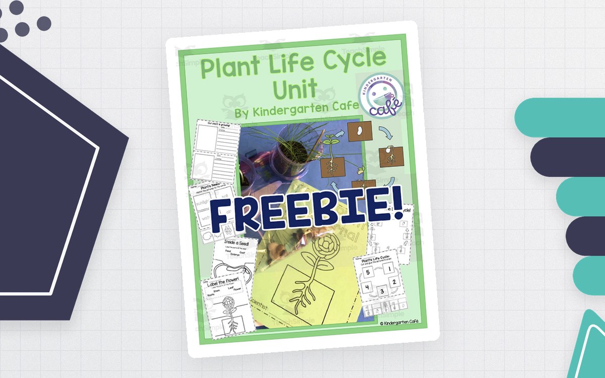 What Plants Need – Cut & Paste Science Worksheet preview