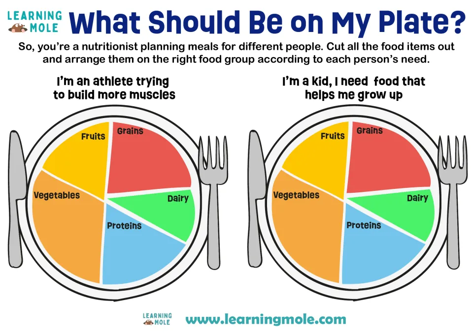 Food groups meal planning: as nutritionists, students fill plates for an athlete building muscle and a growing kid