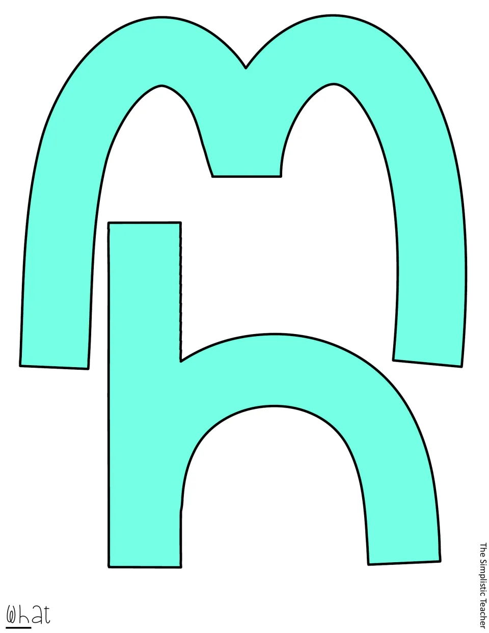 Mint-colored W and h cutout letters form the first part of “What” in the cactus assessment display title