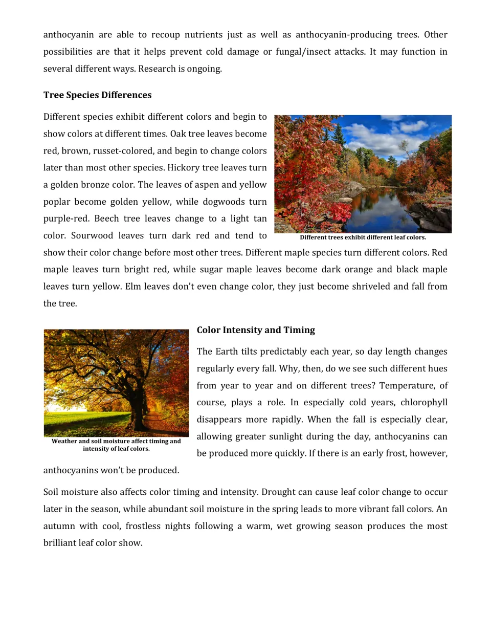 Article part 3 compares tree species' leaf colors and explains how weather and soil moisture affect color
