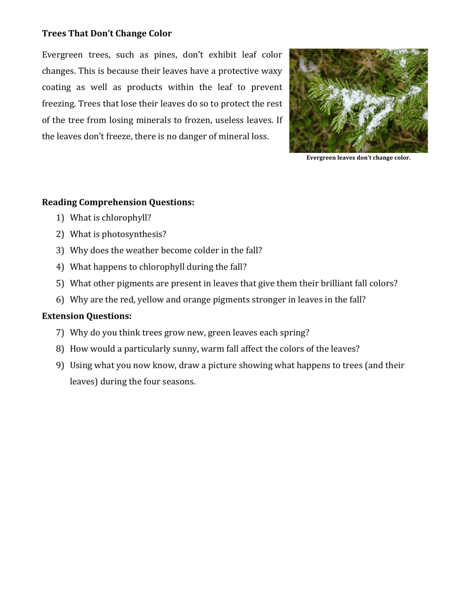 Final article page explains evergreen leaves and includes six comprehension and three extension questions