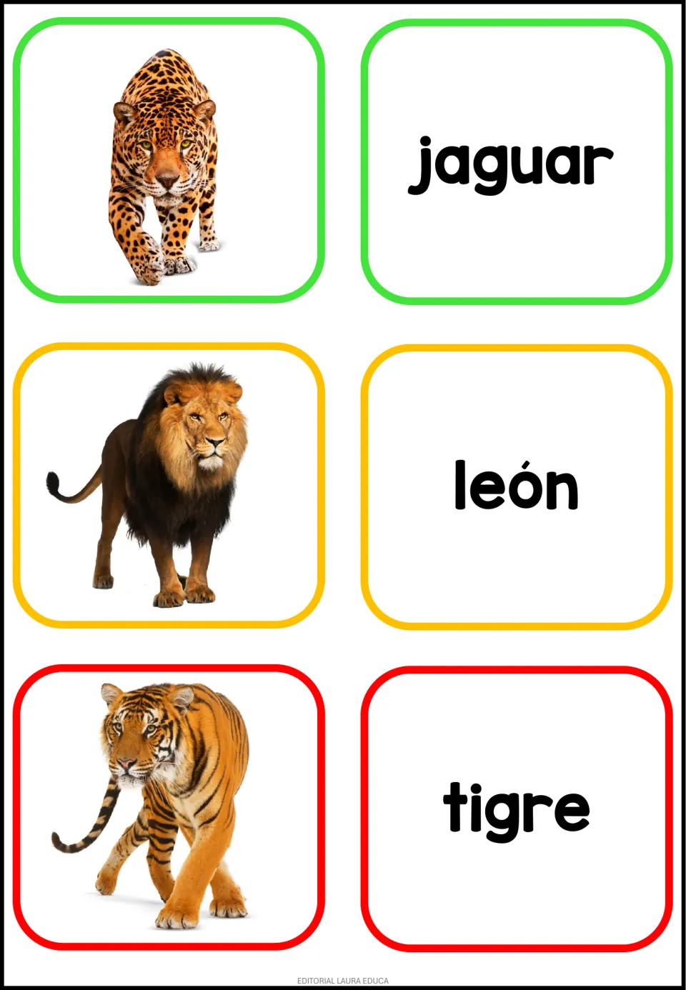 Big cat vocabulary: photo cards of a jaguar, lion and tiger, each paired with its Spanish word card jaguar, león, tigre