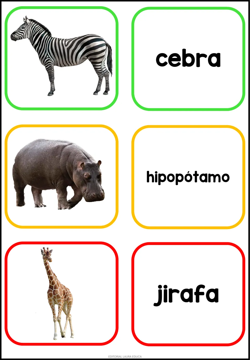 African animal vocabulary: zebra, hippo and giraffe photos paired with Spanish word cards cebra, hipopótamo and jirafa