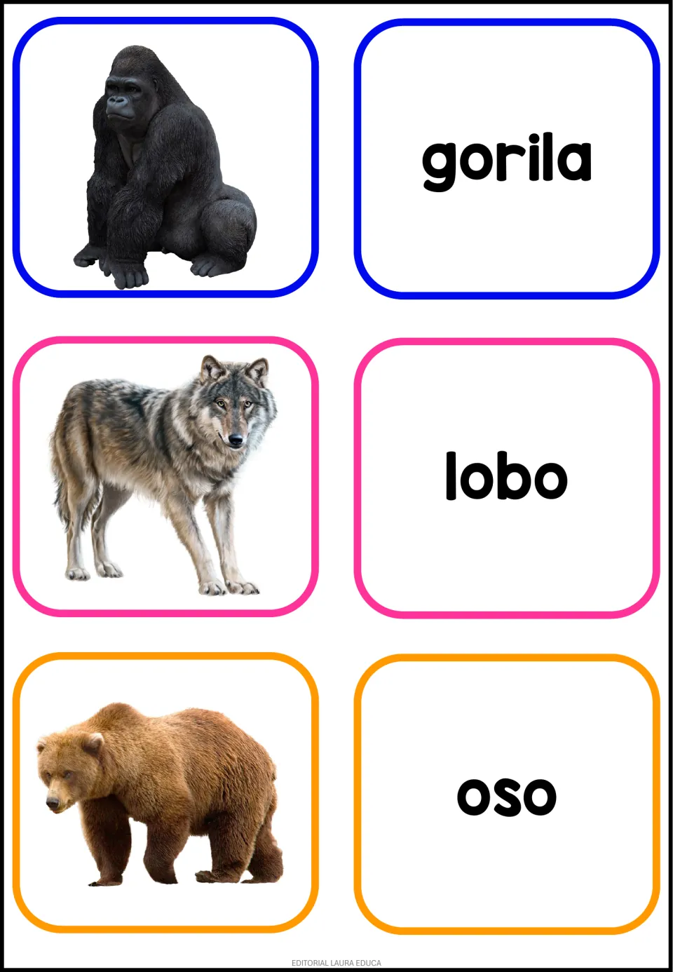 Spanish words for a gorilla, wolf and bear: picture-word matching with photo cards and gorila, lobo and oso word cards