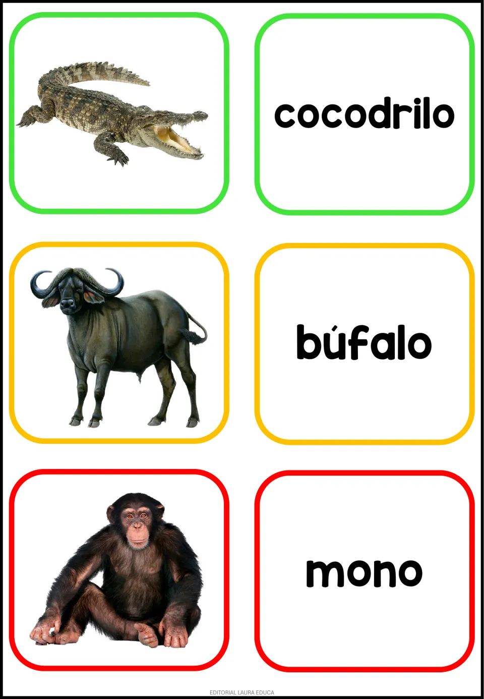 Animal vocabulary in Spanish: crocodile, buffalo and chimpanzee photos paired with word cards cocodrilo, búfalo and mono