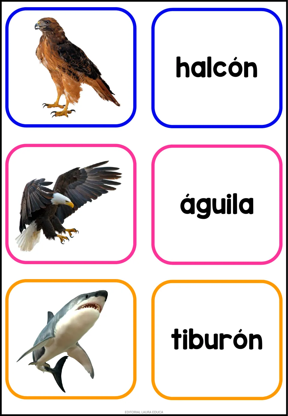 Hawk, eagle and shark in Spanish: photo cards paired with word cards halcón, águila and tiburón for picture-word matching