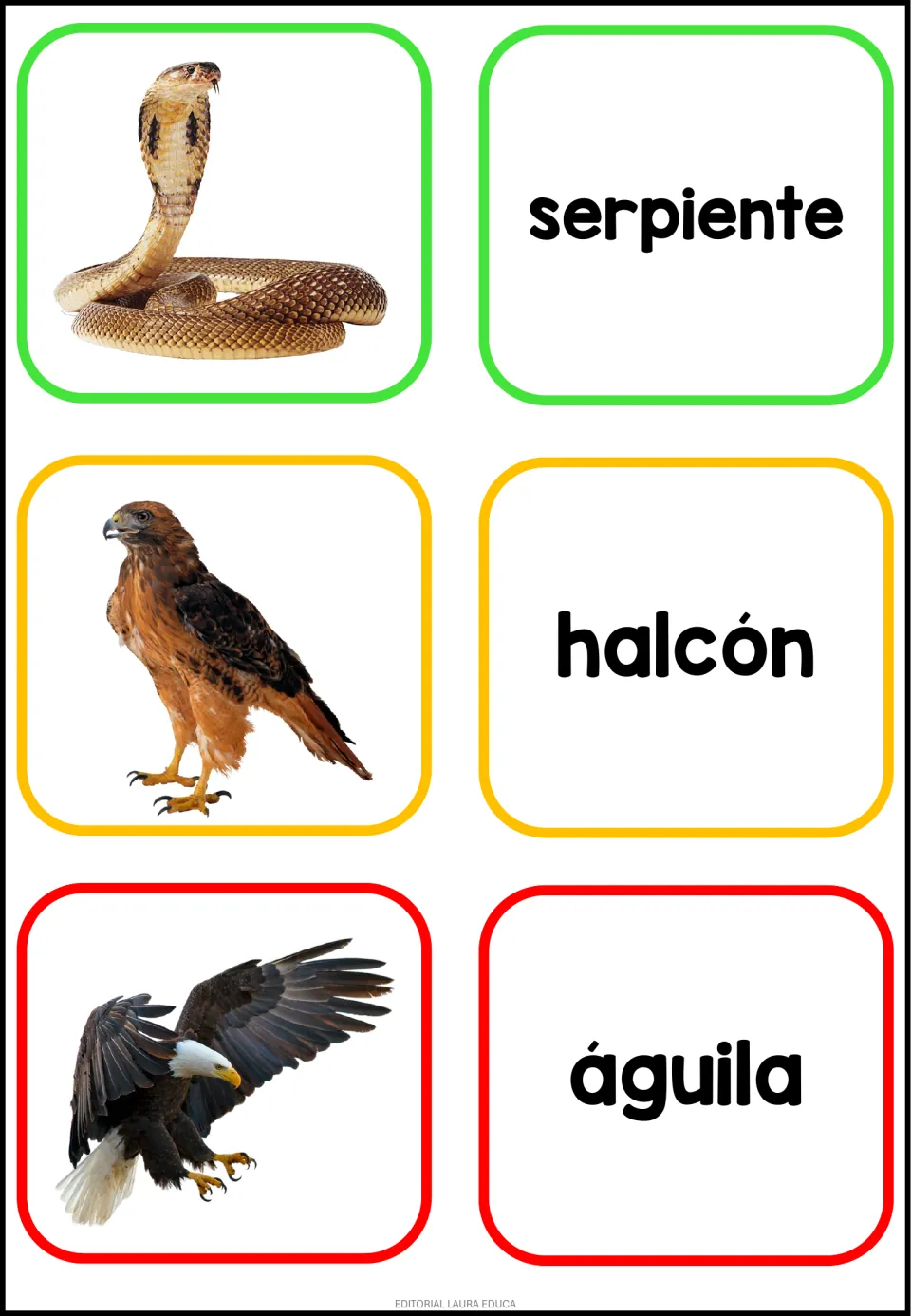 Spanish vocabulary for a snake, hawk and eagle: photo cards of a cobra and two birds matched to serpiente, halcón, águila