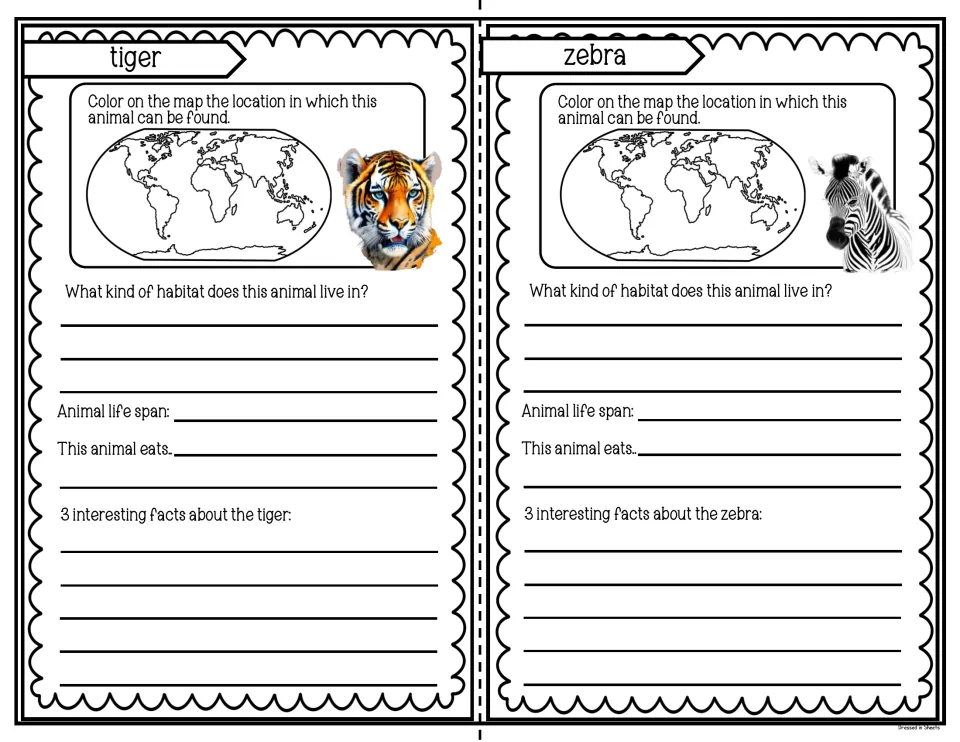 Tiger and zebra pages: students mark each animal's location on a world map and list habitat, life span, diet and 3 facts