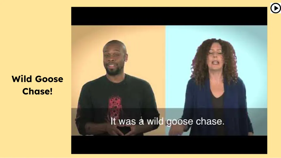 Video lesson slide on the expression shows two speakers and the subtitle “It was a wild goose chase.”