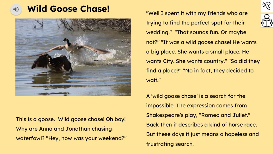 Reading passage explains the idiom through a failed wedding venue search and connects it to Shakespeare