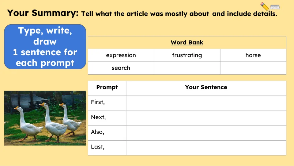 Summary writing activity asks for one sentence each after First, Next, Also, and Last, using a word bank