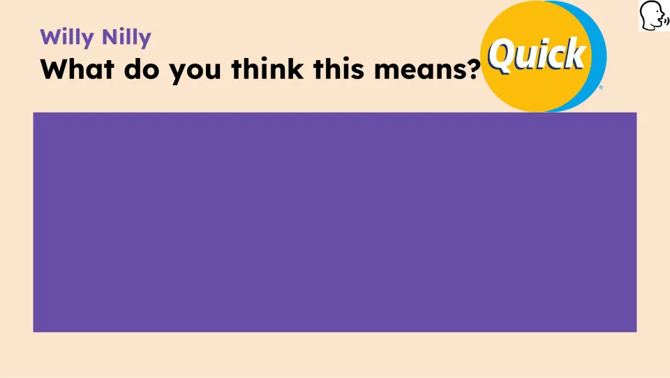 Opening prompt asks what “willy nilly” means and provides space for students to record their response