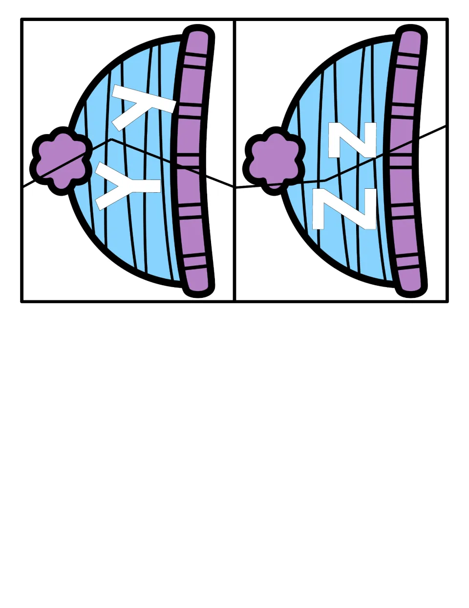 Letters Y and Z: final two winter hat puzzles, each split into an uppercase piece and a lowercase piece for matching