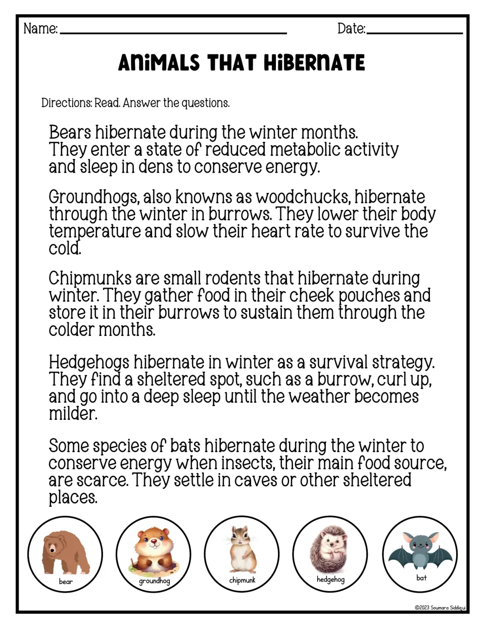 Animals that hibernate: short facts on how bears, groundhogs, chipmunks, hedgehogs and bats survive the winter