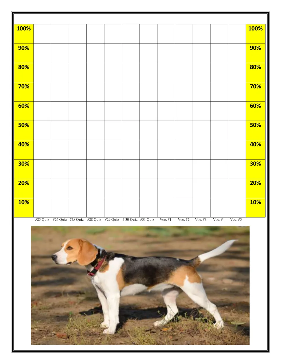 Final data chart page: students colour percentage scores for quizzes 25 to 31 and the five vocabulary tests