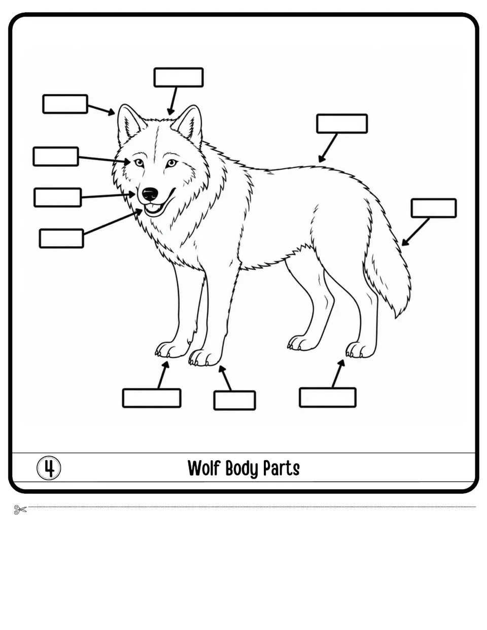 Wolf Body Parts diagram: students label 10 blank callouts on a wolf drawing, pointing to ears, eyes, nose, tail and paws