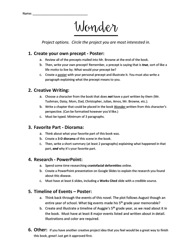 Wonder End of Novel Projects – cover
