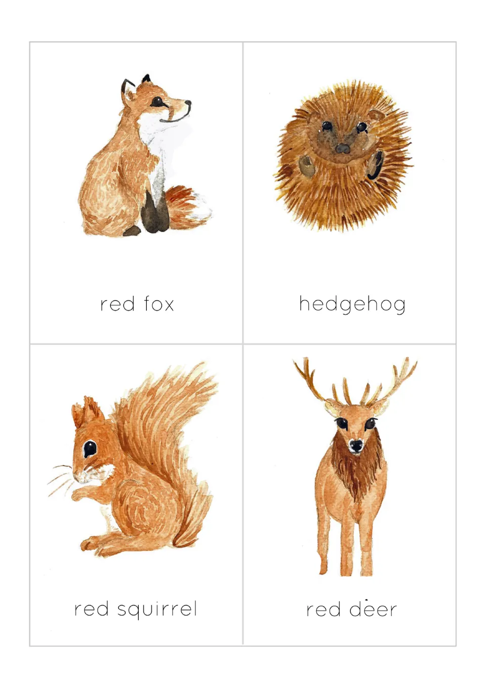 Woodland animal flashcards 1–4: illustrated red fox, hedgehog, red squirrel and red deer, each labeled.