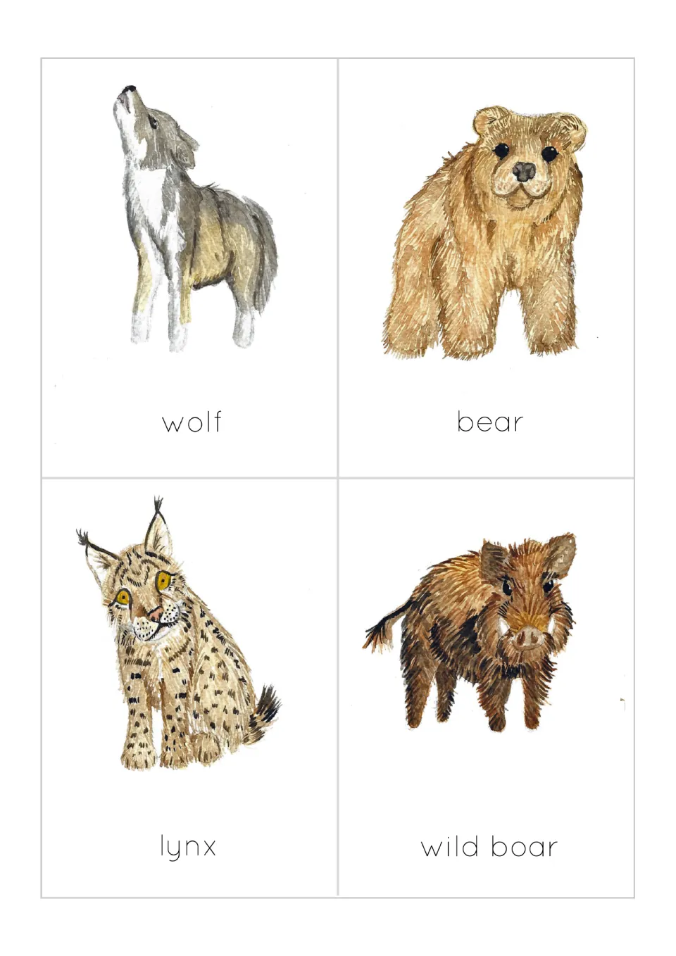 Woodland animal flashcards 9–12: illustrated wolf, bear, lynx and wild boar, each labeled with its name.