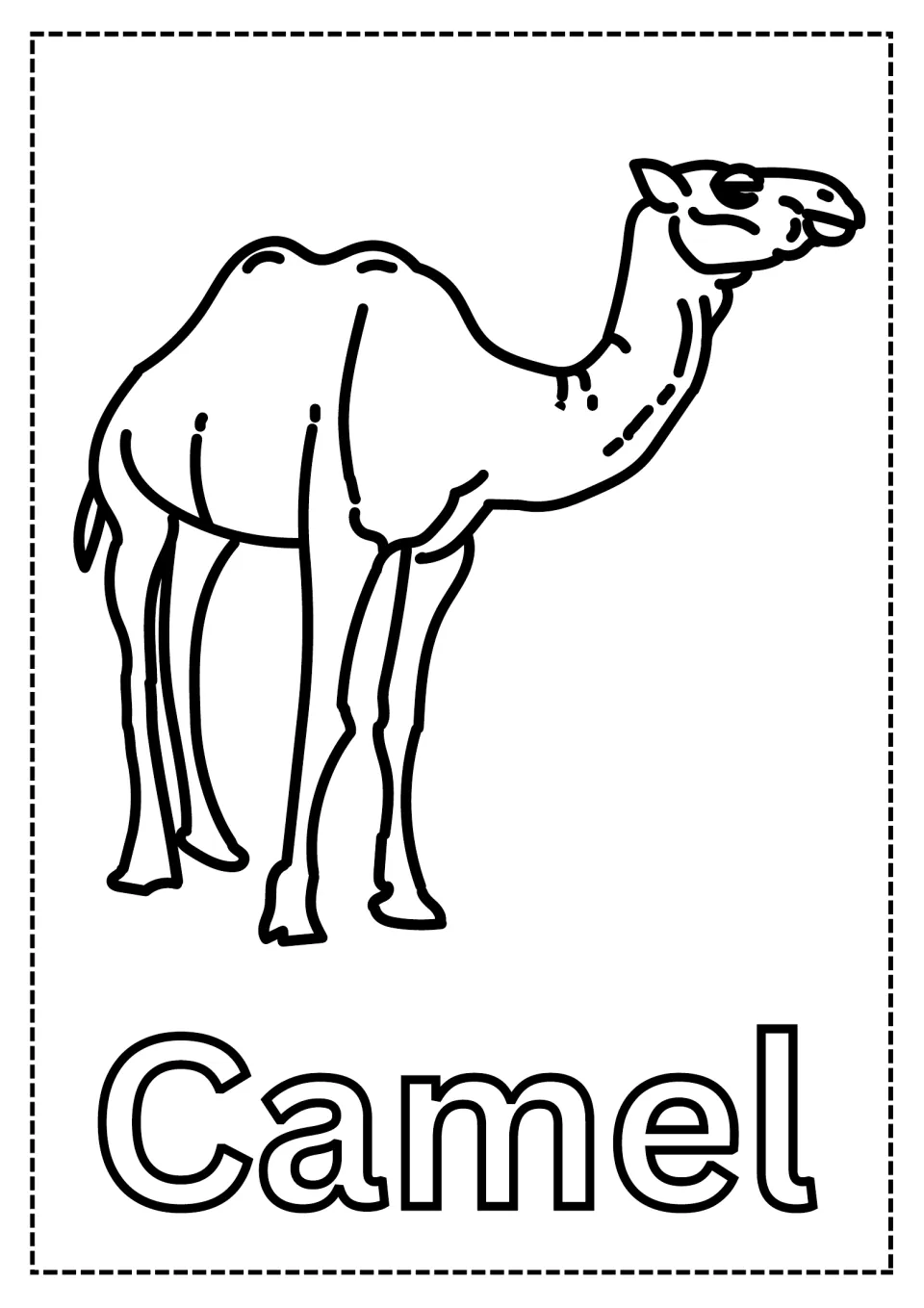 Camel coloring page: students color a standing one-humped camel with long legs and neck and the outlined word Camel