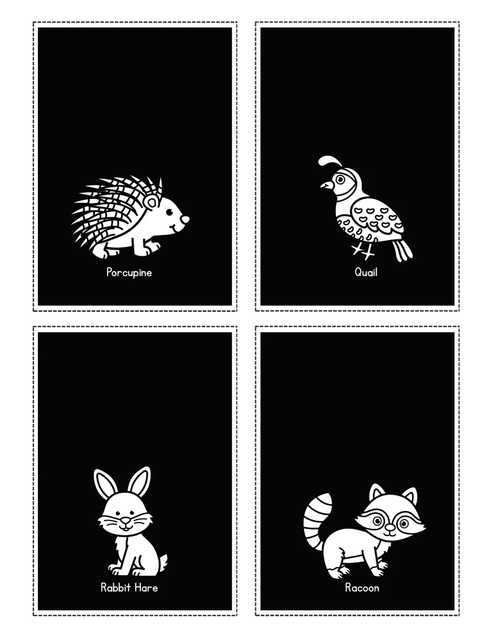 Woodland animal flashlight cards labeled Porcupine, Quail, Rabbit Hare, and Racoon, with animal pictures