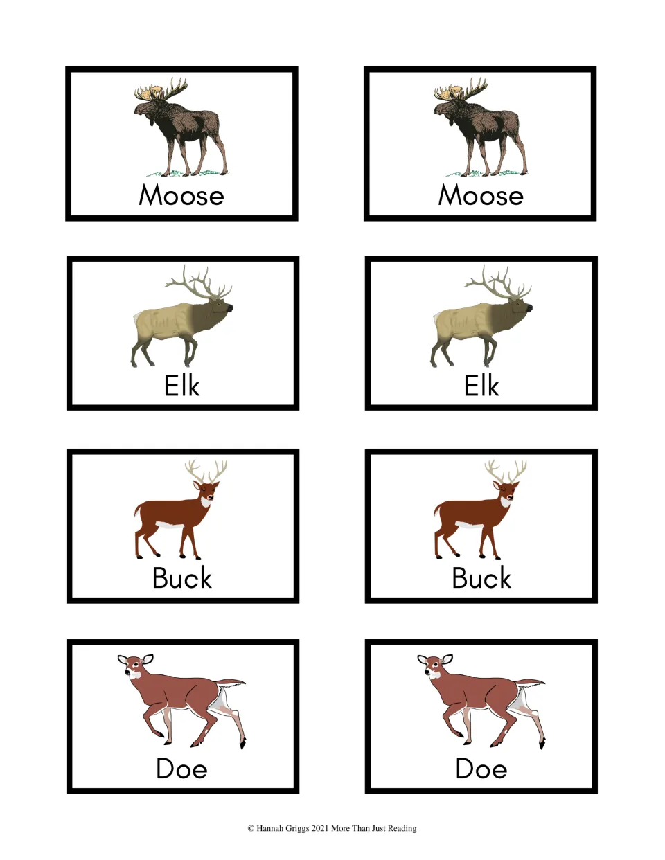 Color animal game cards 41–48: matching picture-and-name pairs for Moose, Elk, Buck, and Doe