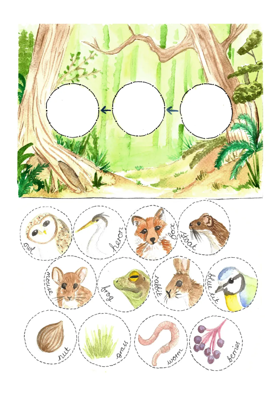 Woodland food chain activity: 12 counters showing eight animals, a nut, grass, a worm, and berries