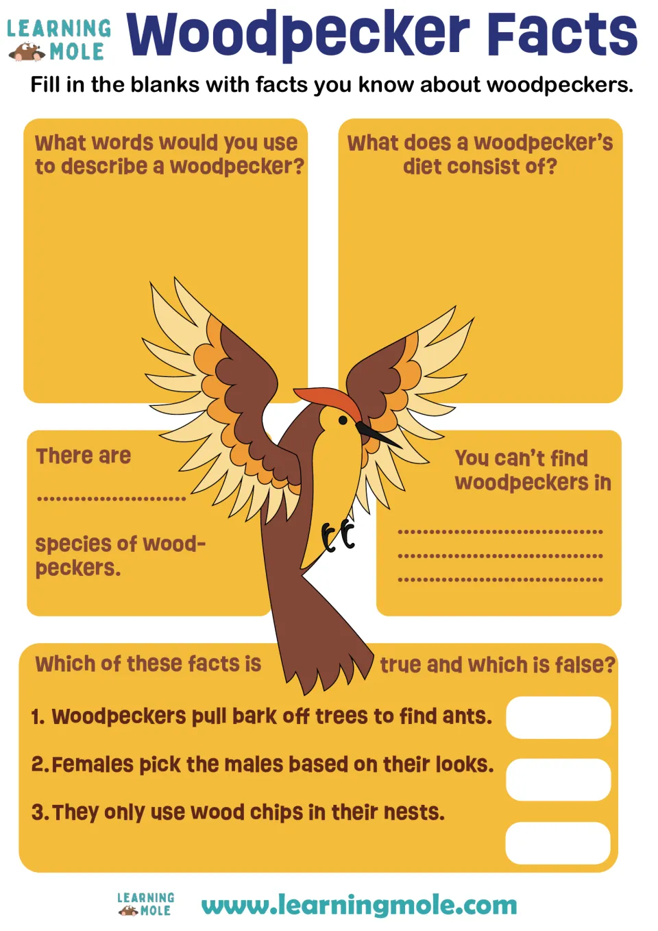 Woodpecker Facts: students describe the bird, its diet, species count and where it's absent, then mark 3 facts true or false