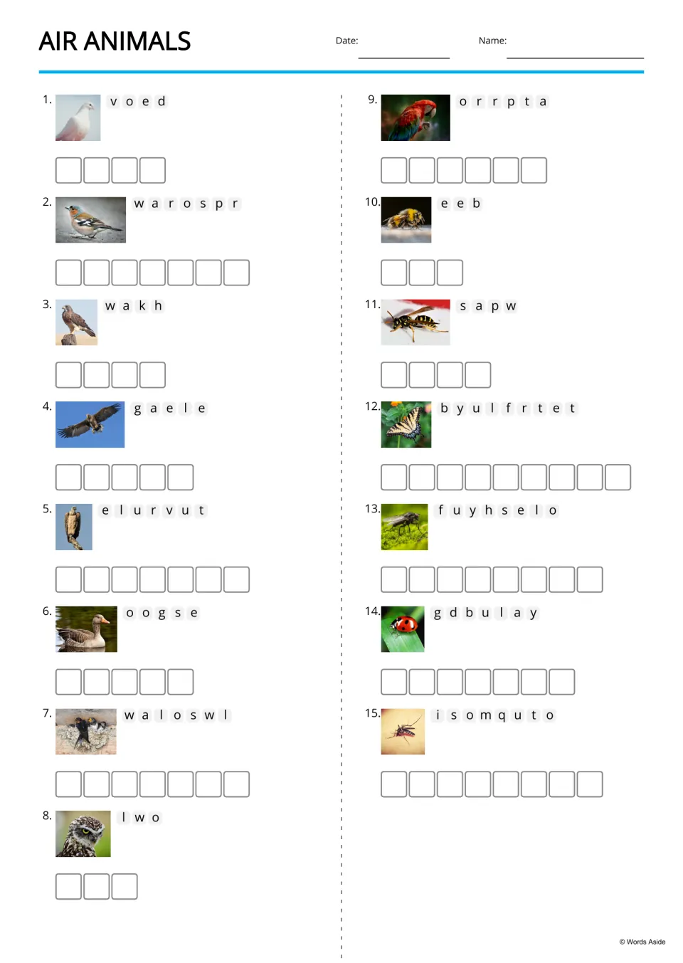 Air animals anagrams: students unscramble letters beside 15 photos, such as v-o-e-d for dove, to spell each animal name