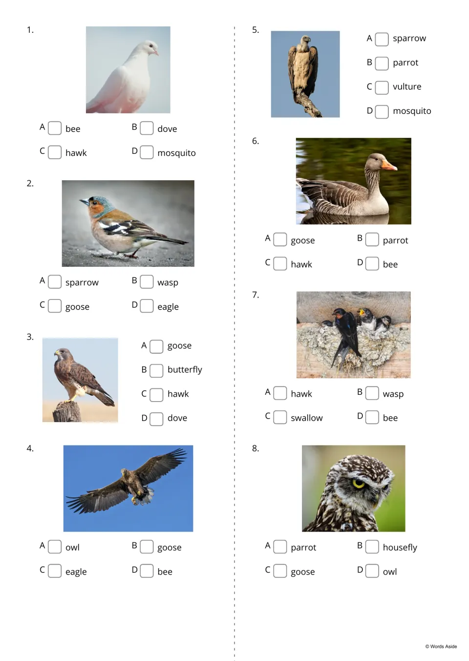 Multiple choice items 1-8: students tick the right name for photos of a dove, sparrow, hawk, eagle, vulture, goose and owl